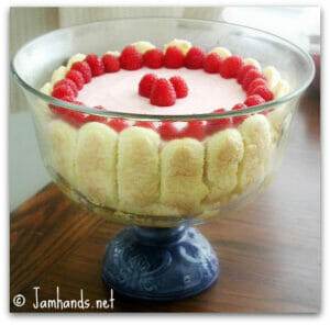 Raspberry Charlotte