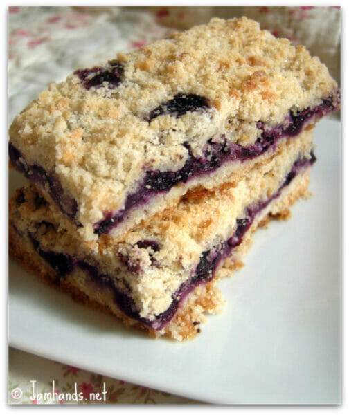 Blueberry Crumb Bars