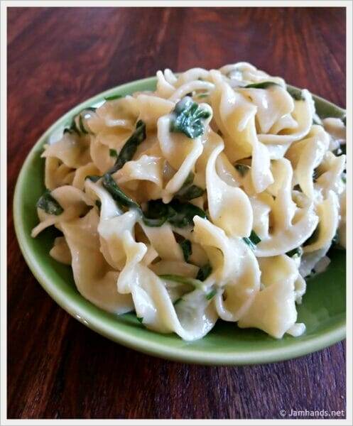 Creamy Spinach Parmesan Noodles