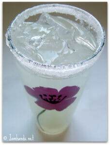 Hard Lemonade