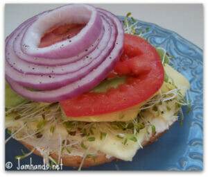 My Favorite Veggie Sandwich