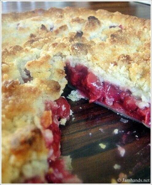 Sour Cherry Crumble Pie