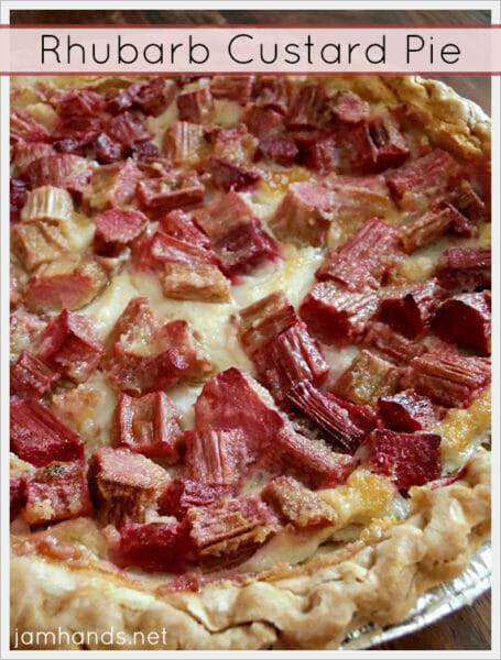 Rhubarb Custard Pie