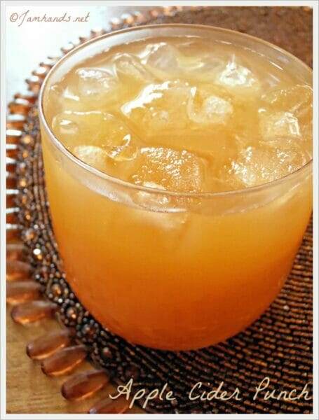 Apple Cider Punch
