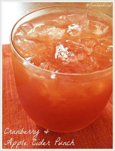 Cranberry Apple Cider Punch
