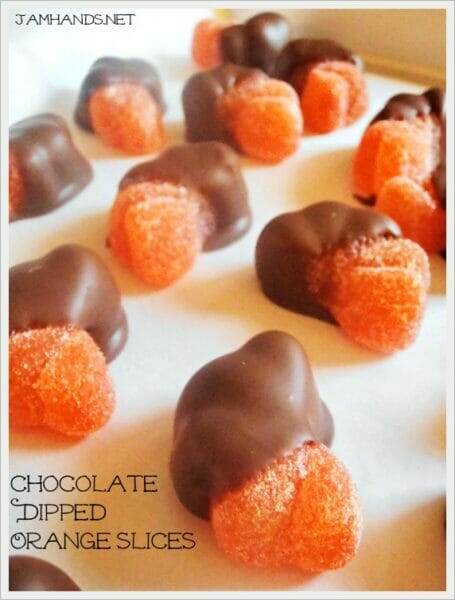 Chocolate Dipped Orange Slices