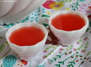 Raspberry Sherbet Party Punch