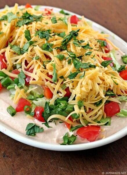 Creamy Taco Dip