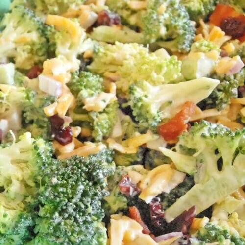 Best Ever Cranberry Broccoli Salad