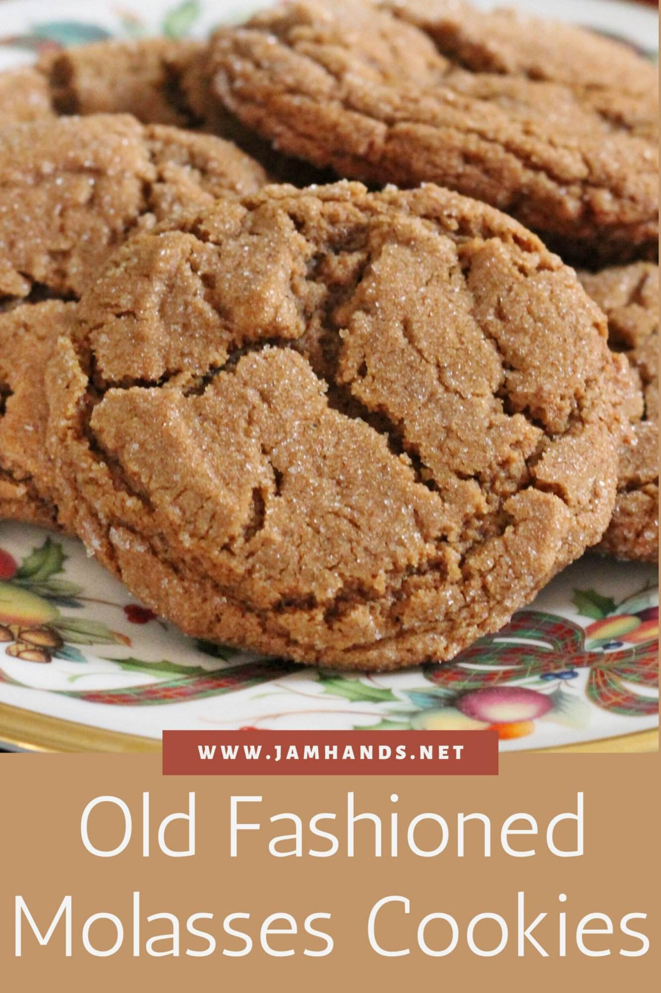 Old Fashioned Molasses Cookies